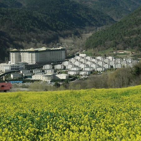 Sarot Thermal Vadi Tatil Koyu - Halal Hotel Bolu Kültér fotó
