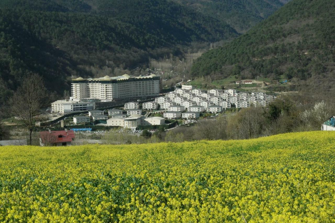Sarot Thermal Vadi Tatil Koyu - Halal Hotel Bolu Kültér fotó